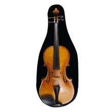Load image into Gallery viewer, Black velvet viola sleeve