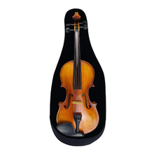 Load image into Gallery viewer, Black velvet viola sleeve